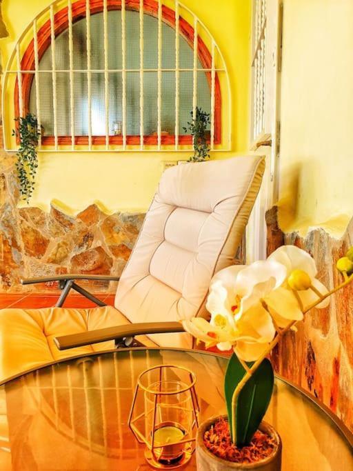 The Perfect Place To Relax Bedroom With Hot Tub, Beautiful Tropical Garden Area. Bbq And Big Open Spaces Through The House.it Is Located In A Quiet Place, But Still 5 Min Away From The Touristic Puerto Rico And Walking Distance From The Apartment